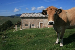 rifugio-valbella-030420000131000023